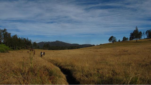 Hiking Gunung Argopuro